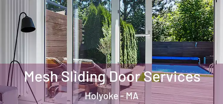 Mesh Sliding Door Services Holyoke - MA
